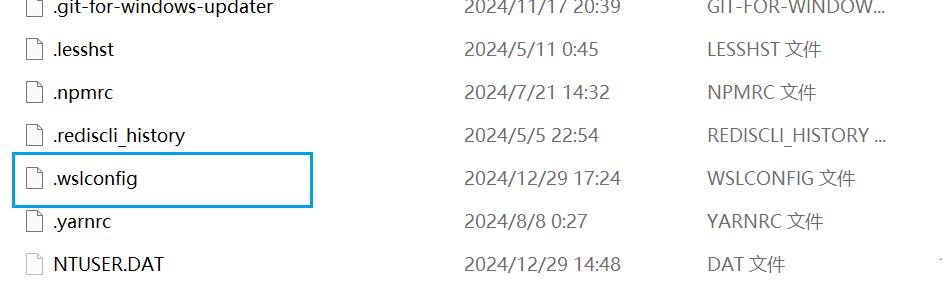 image-20241230012222440